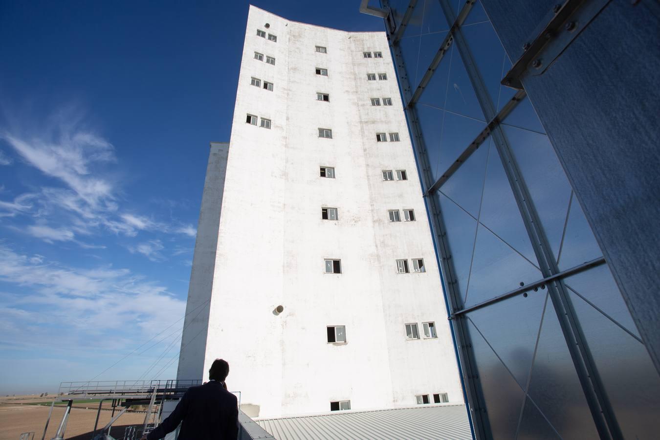 Reconversión del silo de Las Cabezas de San Juan, en imágenes