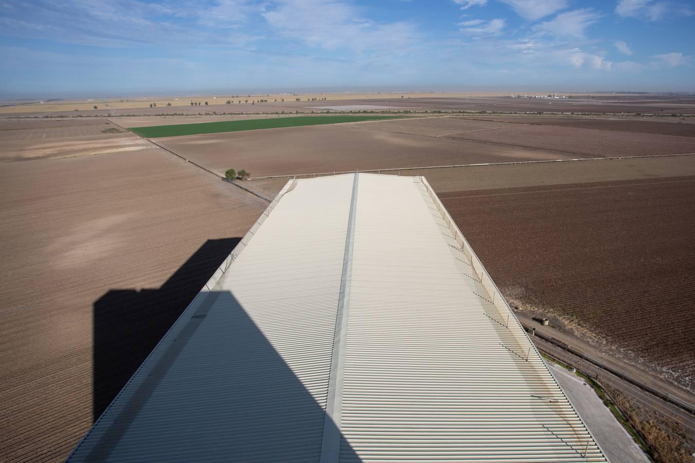 Reconversión del silo de Las Cabezas de San Juan, en imágenes