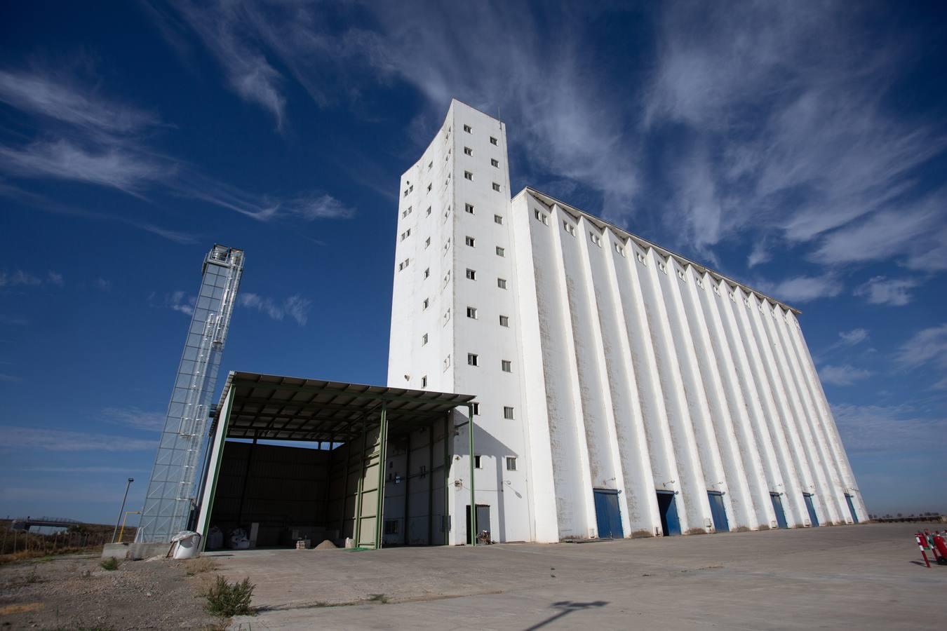 Reconversión del silo de Las Cabezas de San Juan, en imágenes