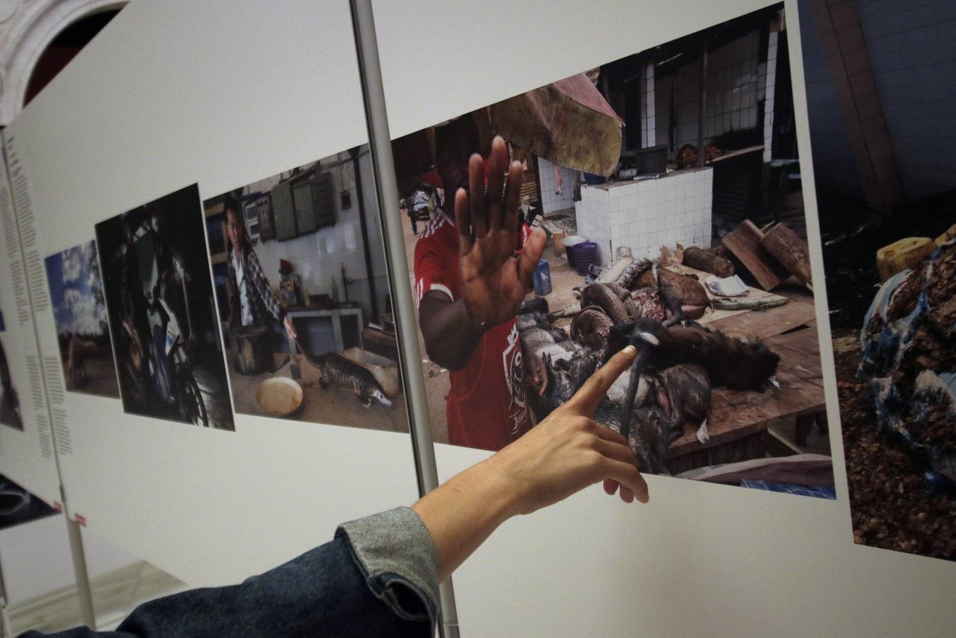 En imágenes, muestra de la World Press Photo en la Fundación Cajasol