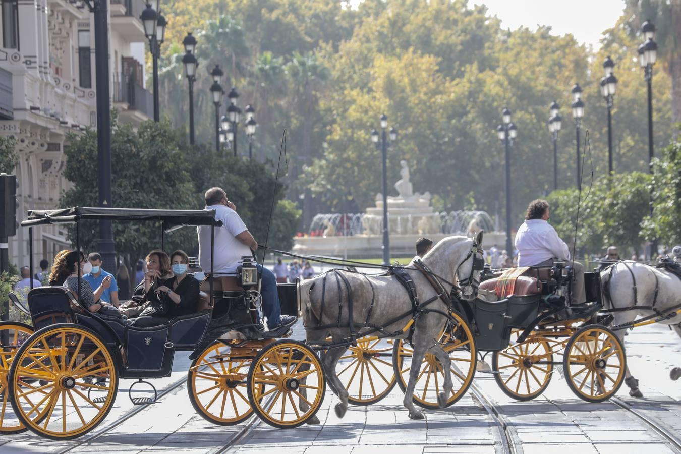 En imágenes, turistas en el centro de Sevilla durante este puente