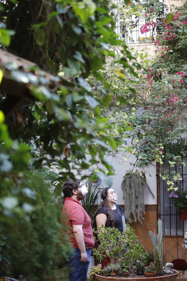 Los patios de San Pedro y Santiago de Córdoba, en imágenes