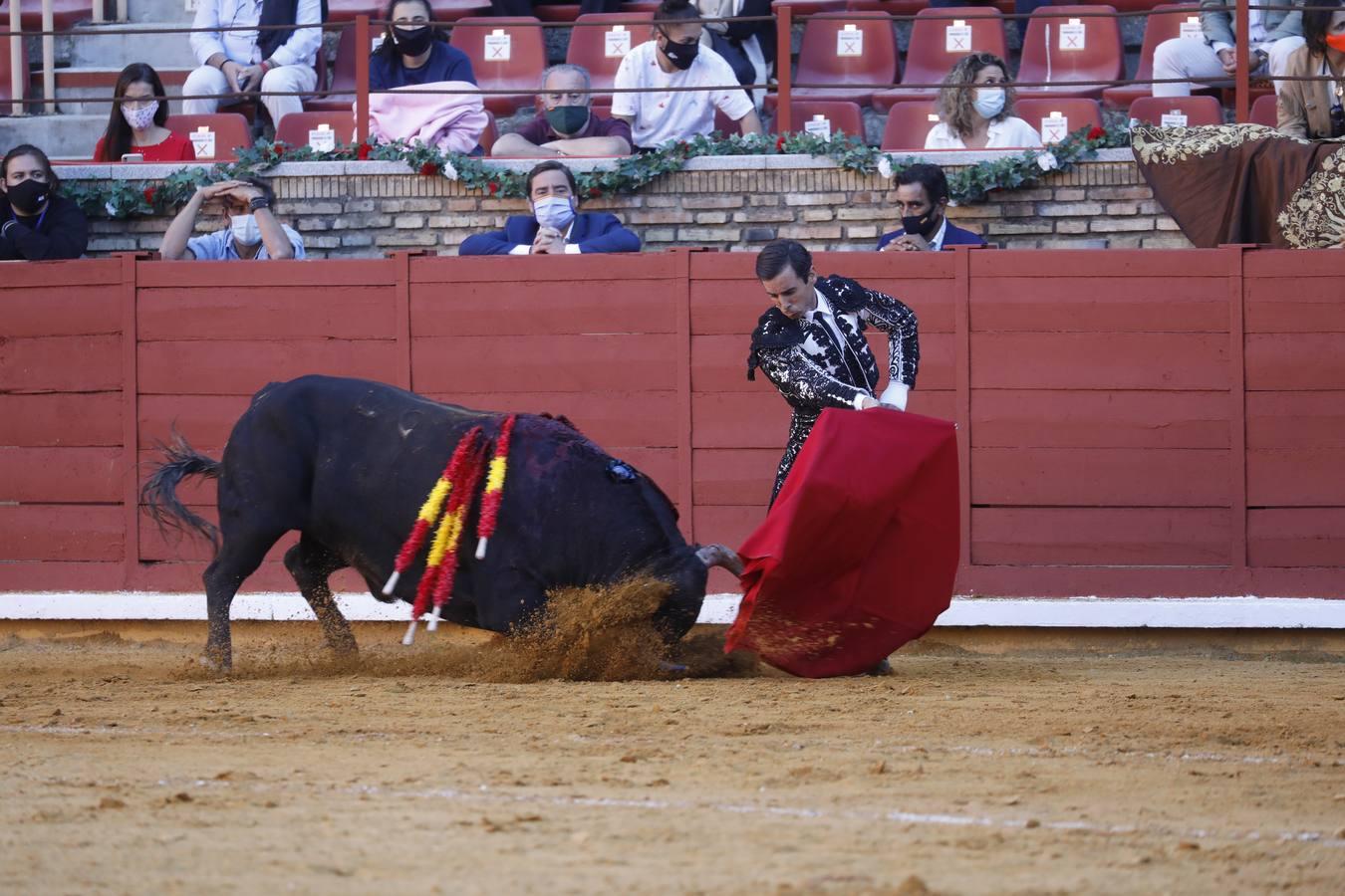 La vuelta de los toros a Córdoba, en imágenes