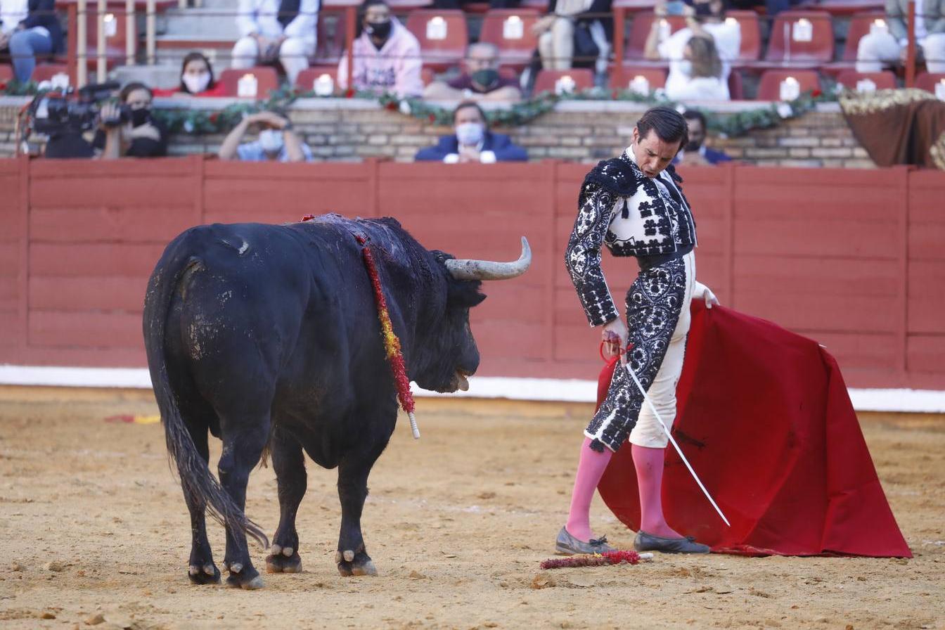 La vuelta de los toros a Córdoba, en imágenes