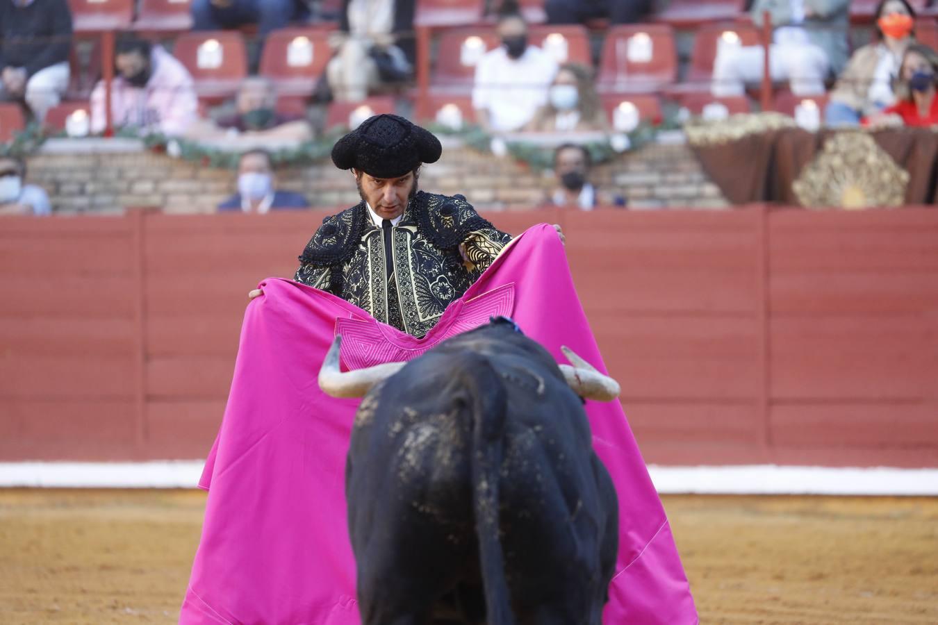 La vuelta de los toros a Córdoba, en imágenes