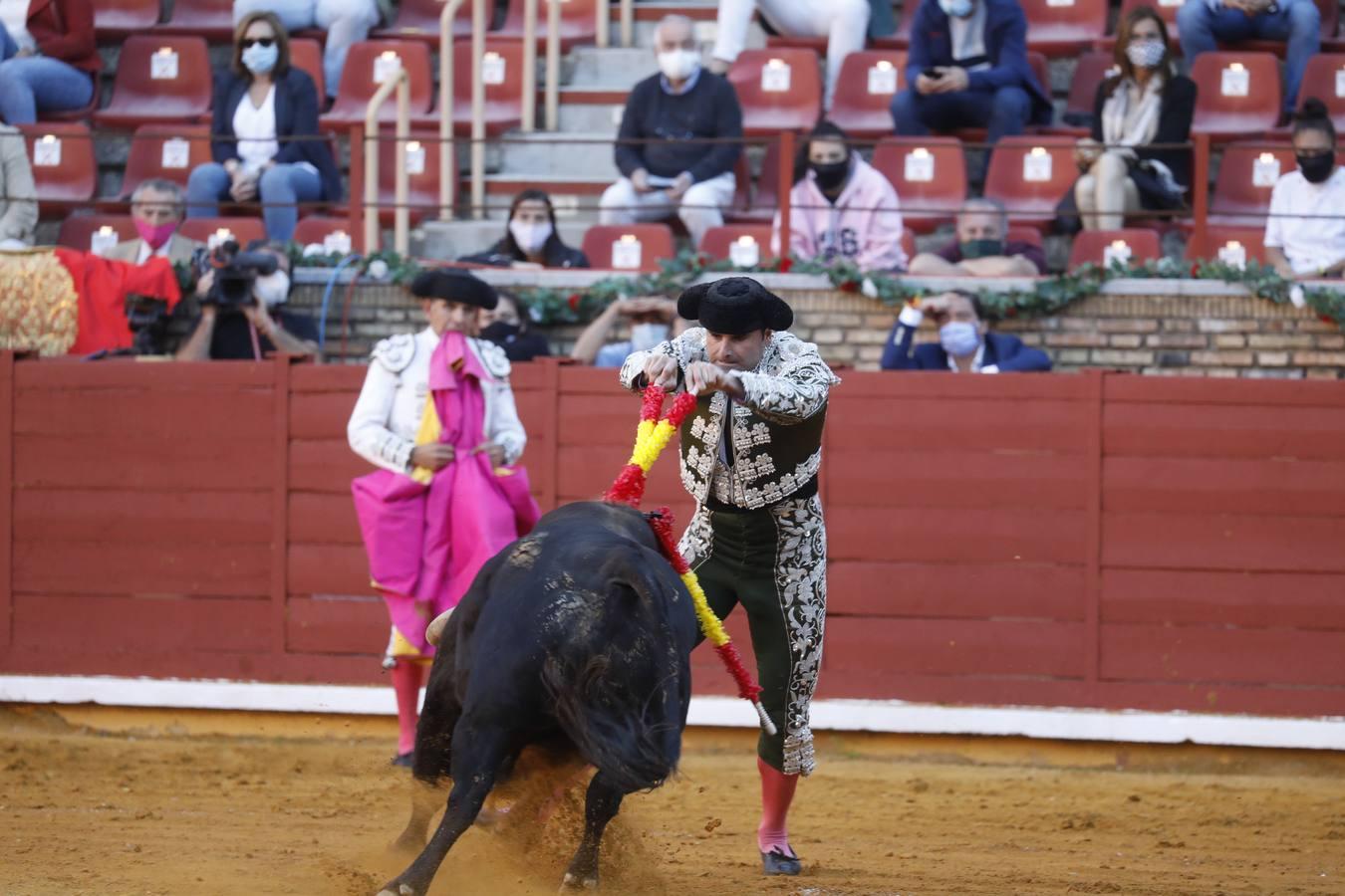 La vuelta de los toros a Córdoba, en imágenes