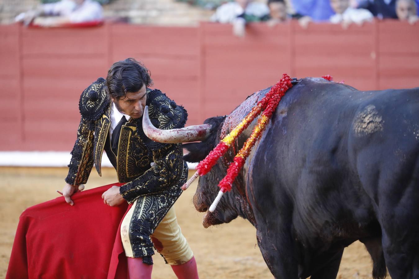 La vuelta de los toros a Córdoba, en imágenes