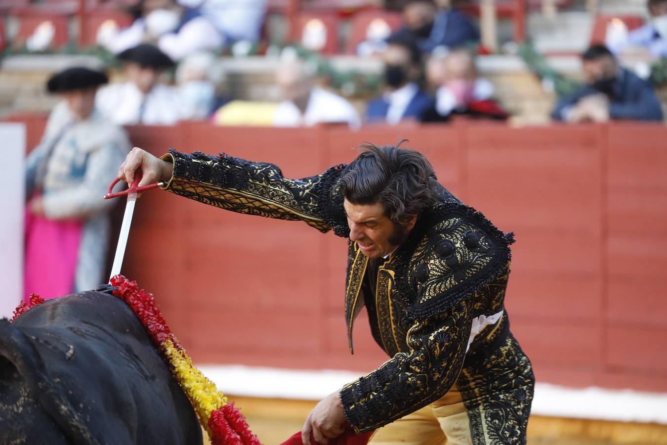 La vuelta de los toros a Córdoba, en imágenes