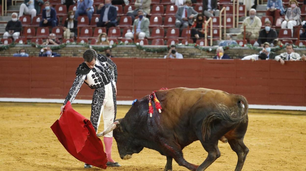 La vuelta de los toros a Córdoba, en imágenes