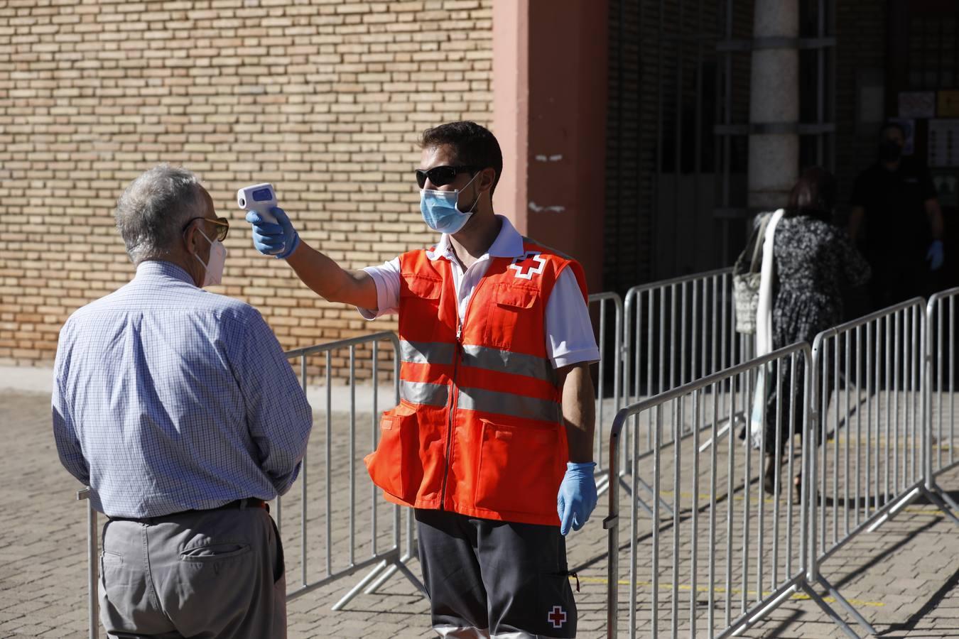 La vuelta de los toros a Córdoba, en imágenes