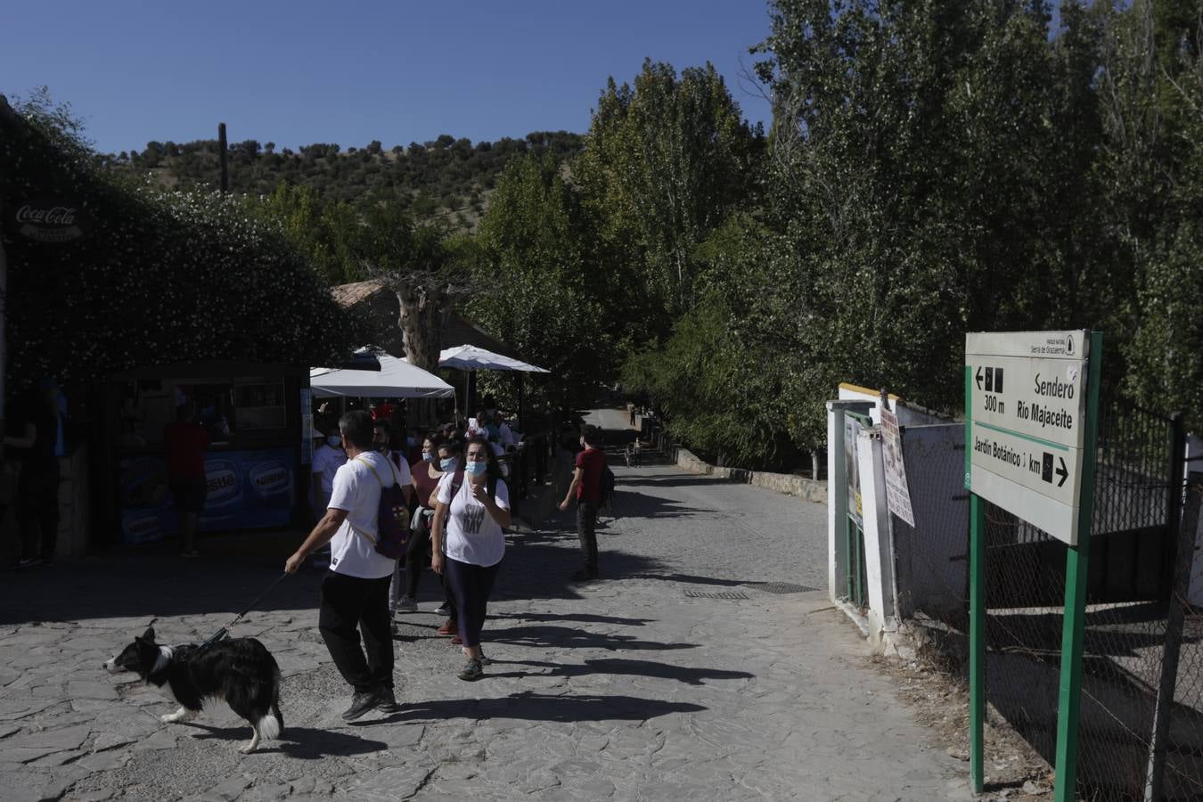 Gran afluencia de turistas en la Sierra de Cádiz en el puente del Pilar