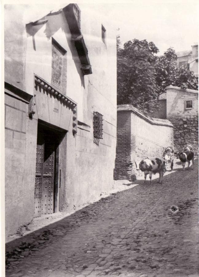 Vacas bajando por la calle de San Pablo a principios del siglo XX. Colección Particular. 