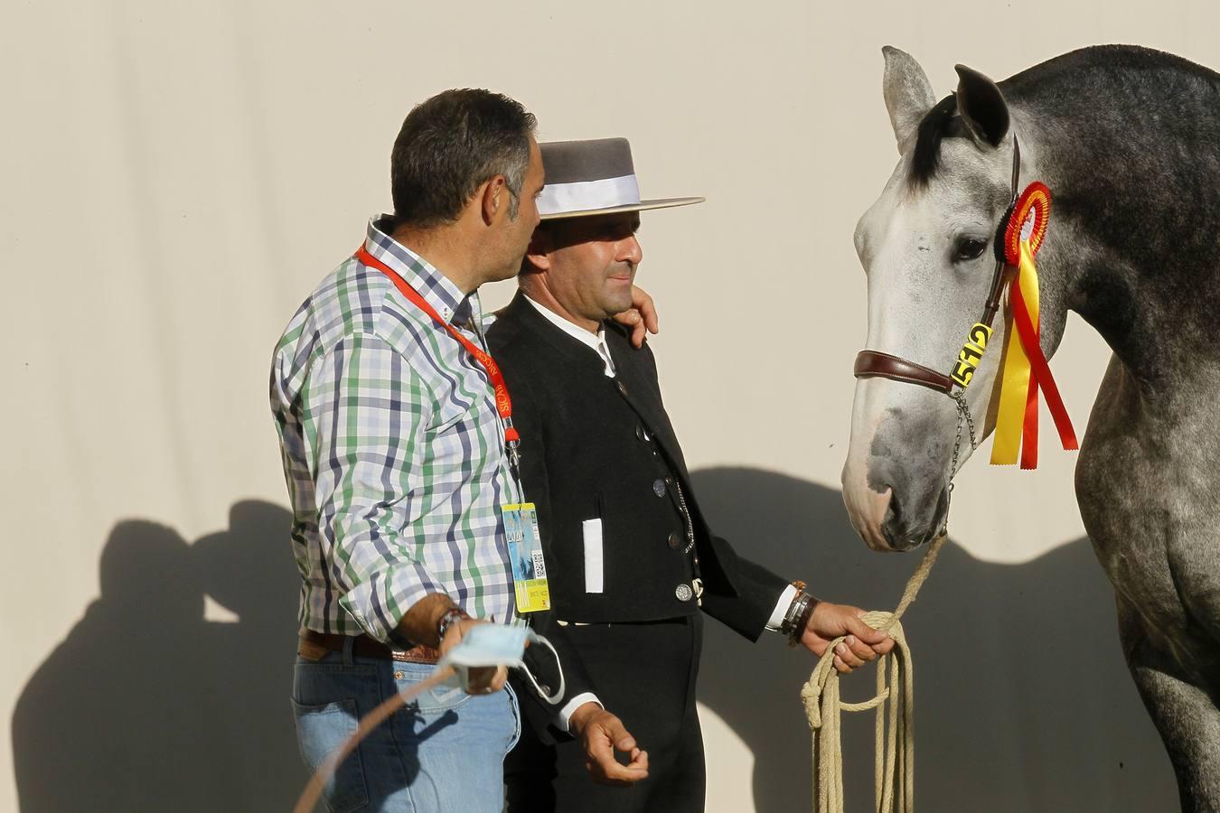 En imágenes, inauguración y apertura al público de Sicab