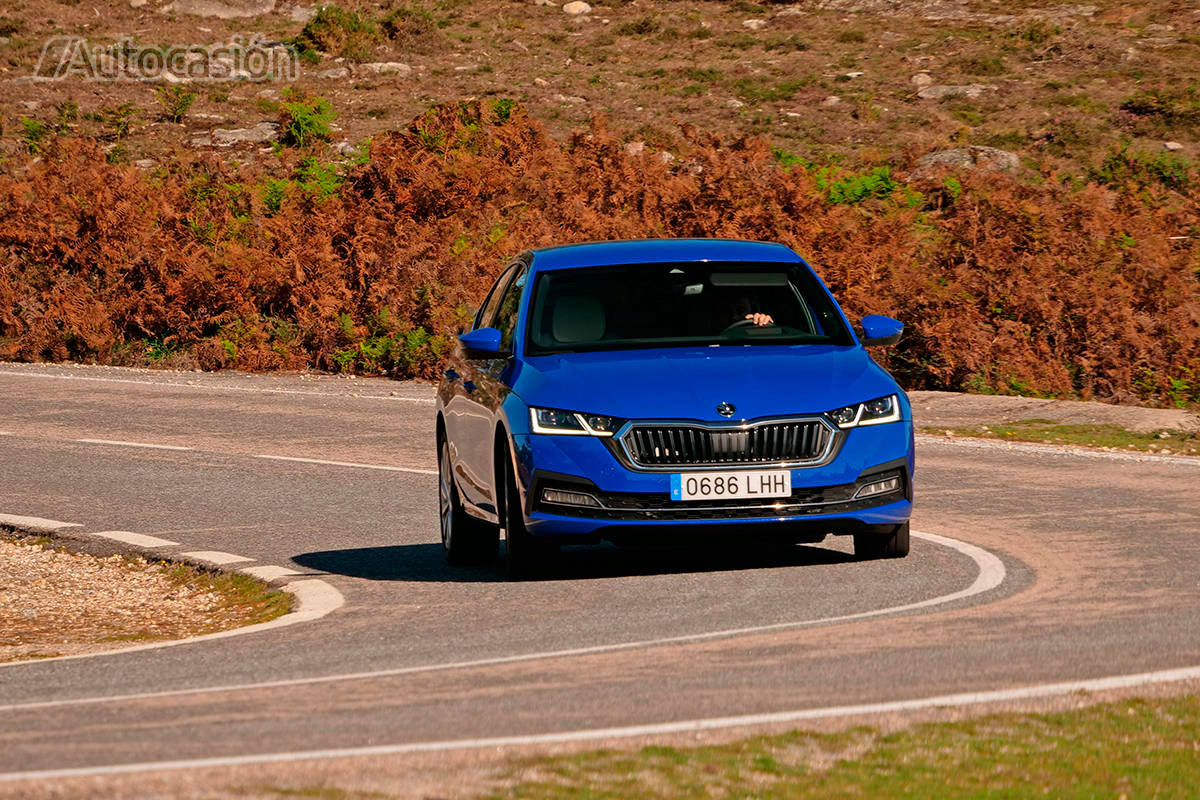 Fotogalería: Skoda Octavia 1.5 TSi 2020