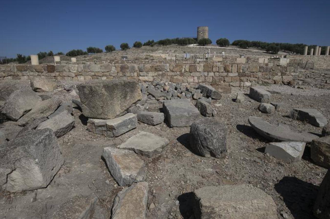 El yacimiento arqueológico de Torreparedones de Baena, en imágenes