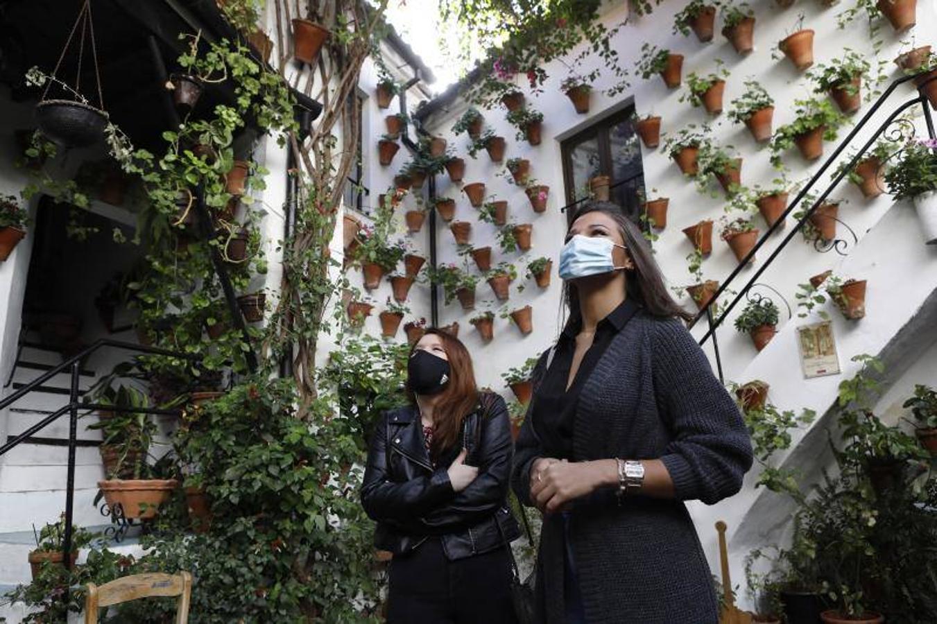 Los patios de San Basilio de Córdoba, en imágenes