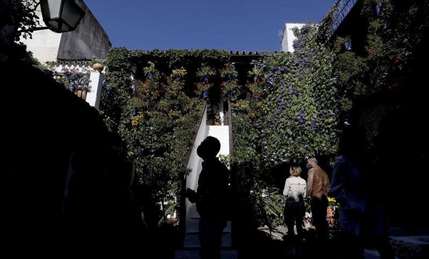 Los patios de San Basilio de Córdoba, en imágenes