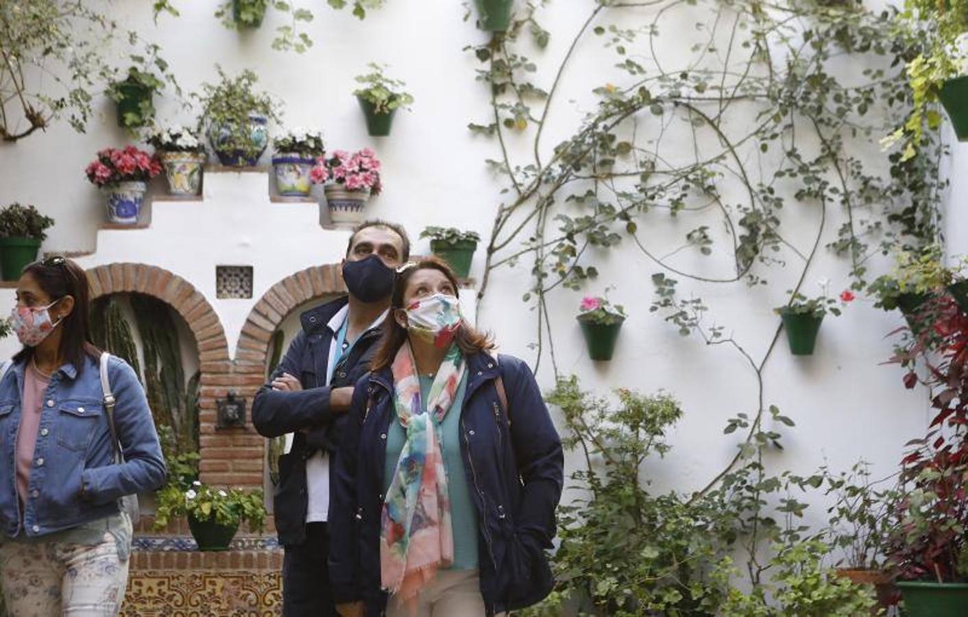 Los patios de San Basilio de Córdoba, en imágenes