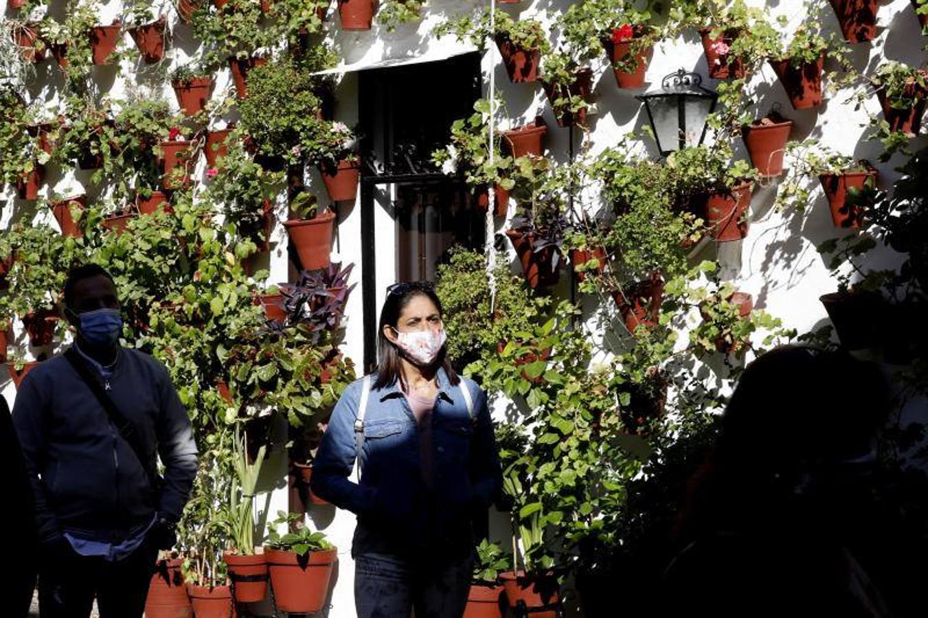 Los patios de San Basilio de Córdoba, en imágenes