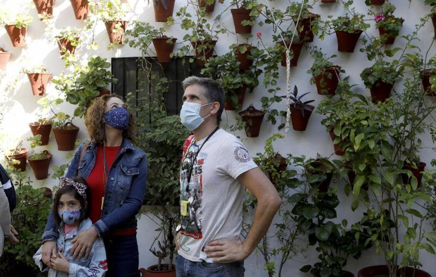 Los patios de San Basilio de Córdoba, en imágenes