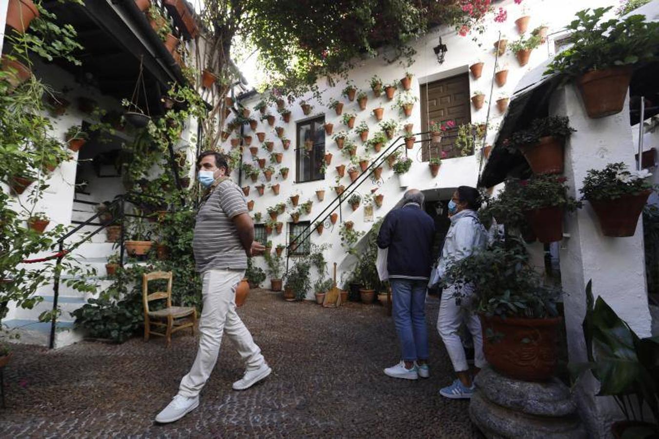 Los patios de San Basilio de Córdoba, en imágenes