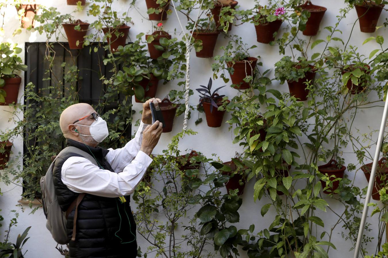 Patios de Córdoba 2020 | Los visitantes del último sábado, en imágenes