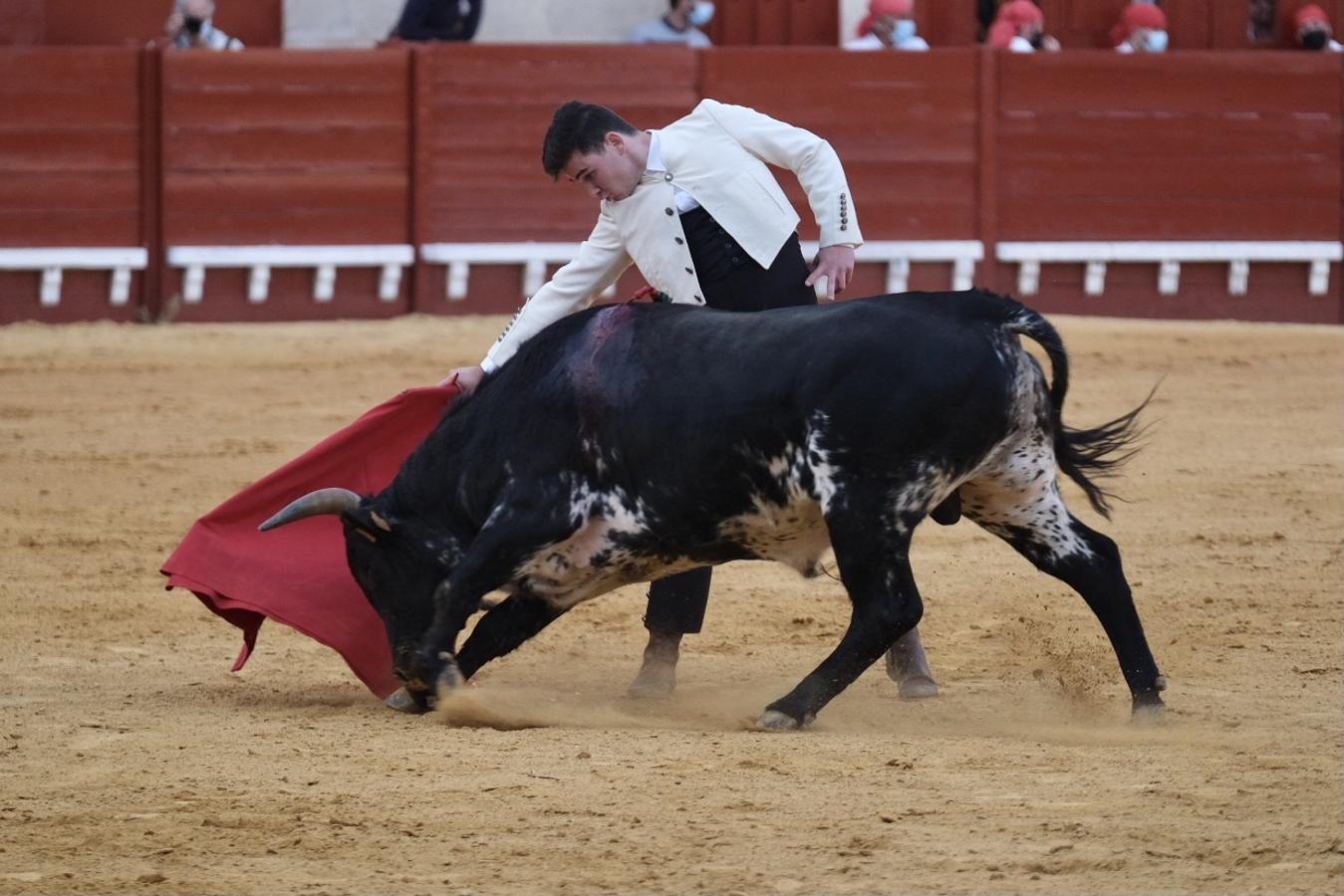 FOTOS | II Certamen de Becerristas en El Puerto