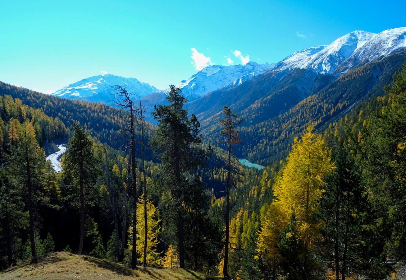 Mañana otoñal en el Parque Nacional de Tschierv, Suiza