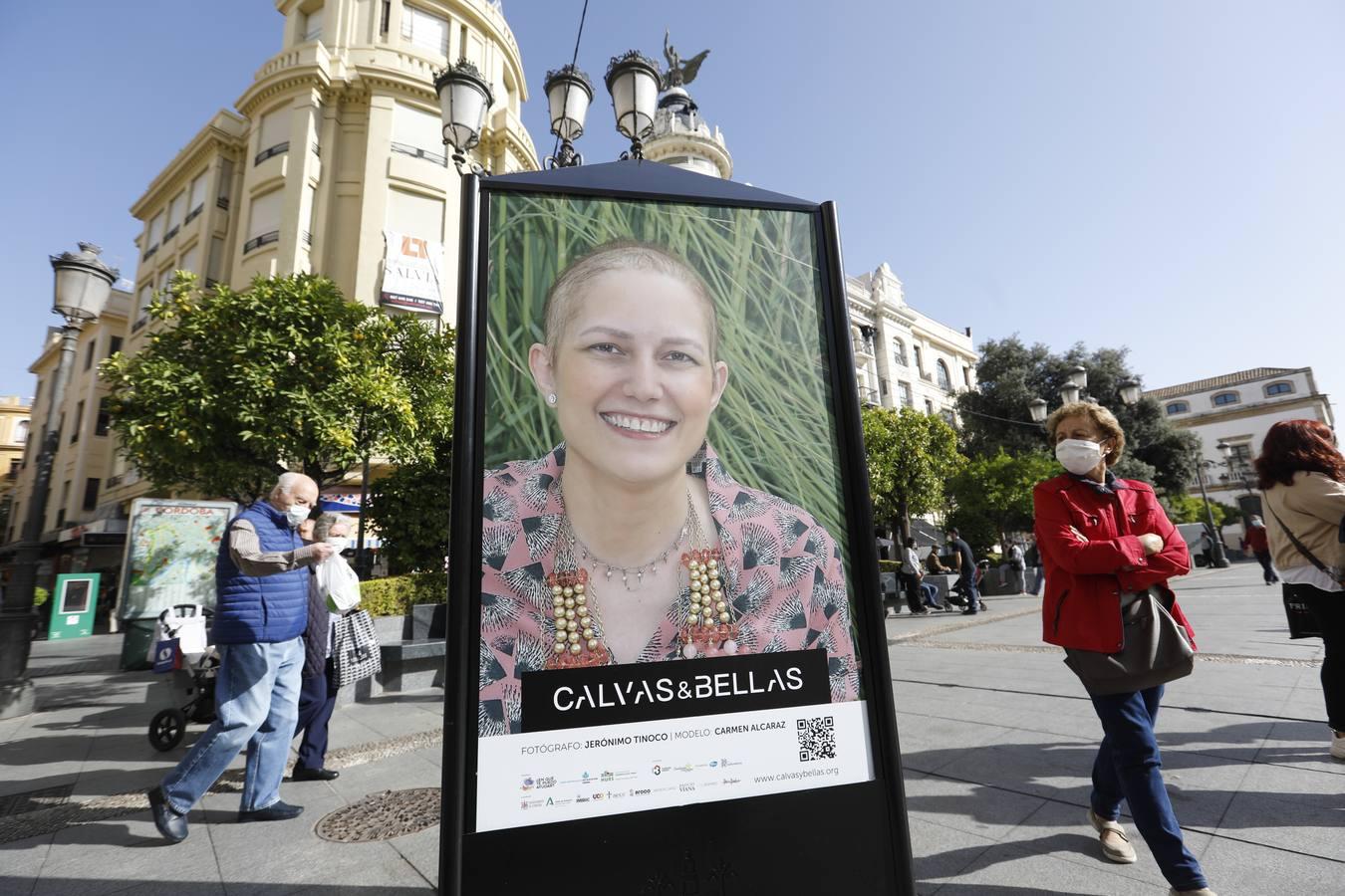 El día contra el cáncer de mama en Córdoba, en imágenes