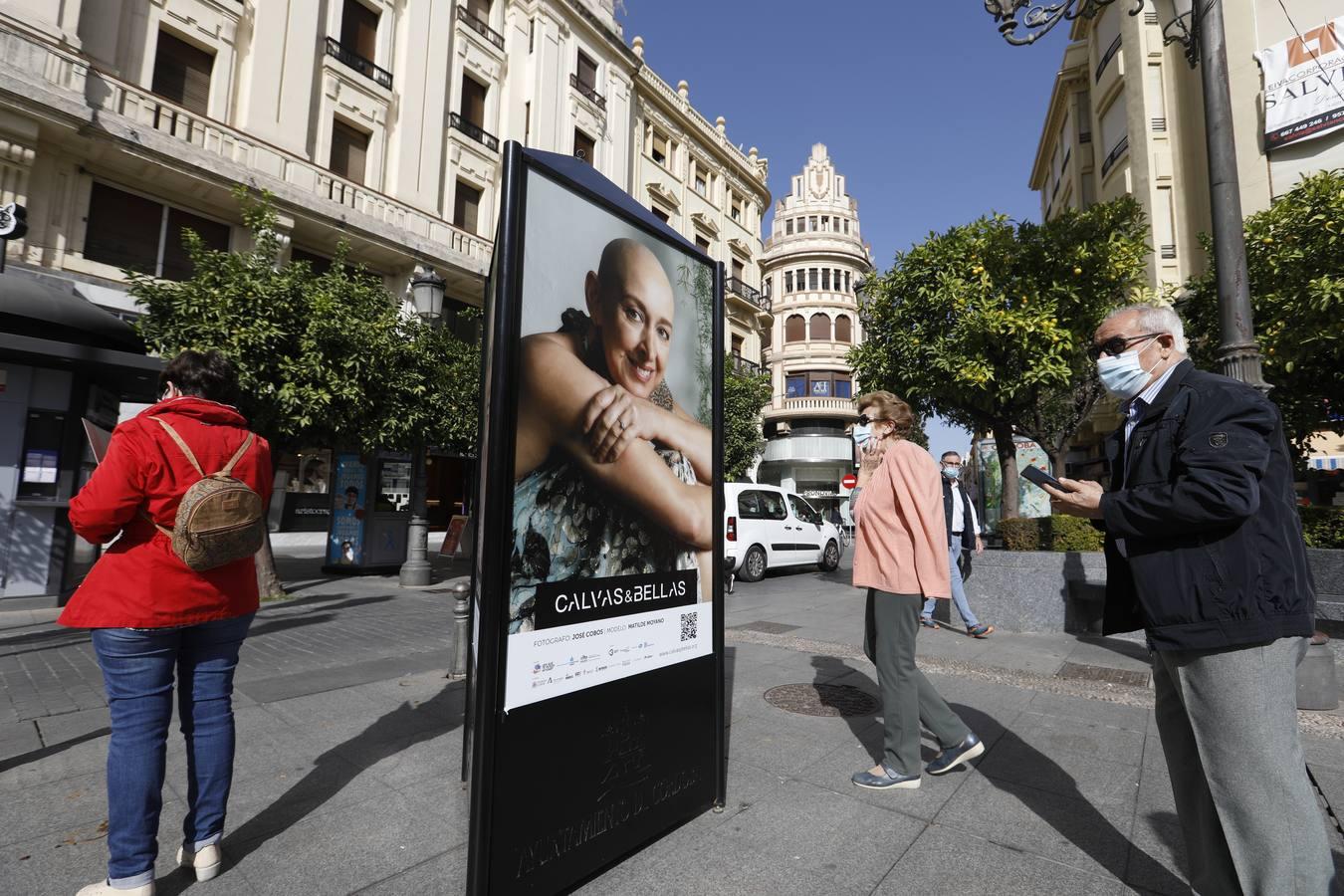 El día contra el cáncer de mama en Córdoba, en imágenes