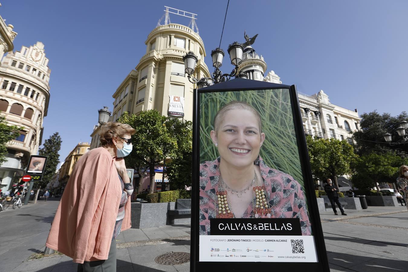 El día contra el cáncer de mama en Córdoba, en imágenes