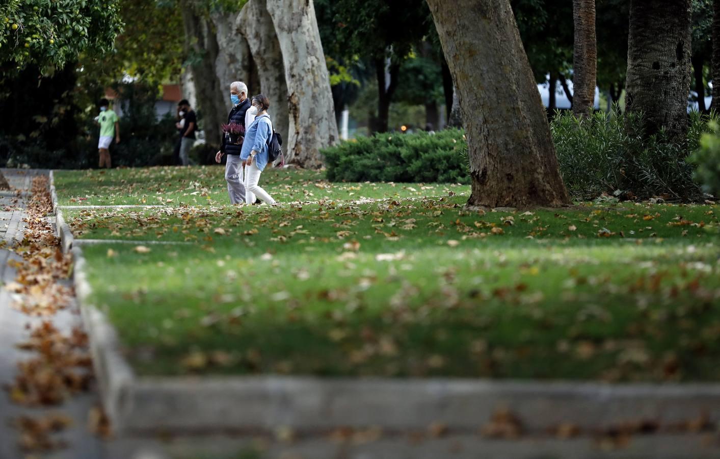 Las huellas del otoño en Córdoba, en imágenes