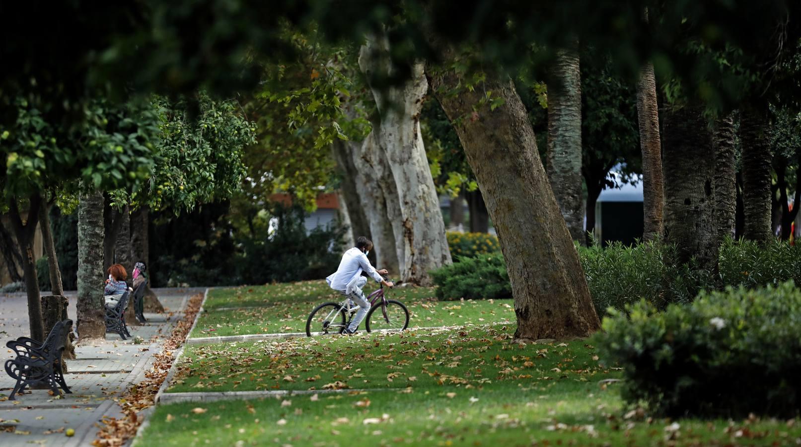 Las huellas del otoño en Córdoba, en imágenes