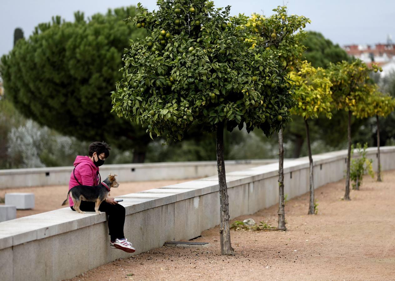 Las huellas del otoño en Córdoba, en imágenes