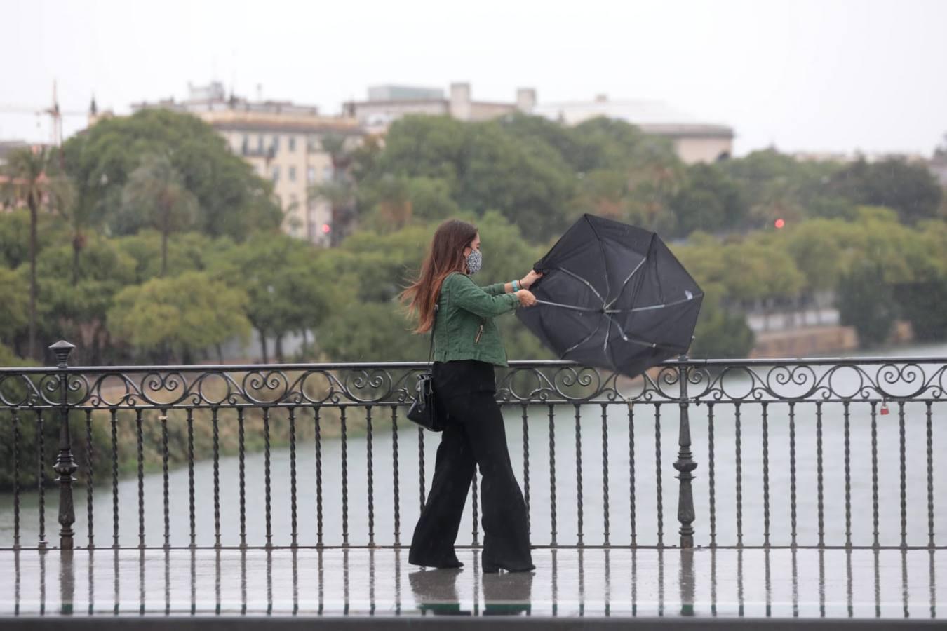 La borrasca Bárbara deja su huella en Sevilla