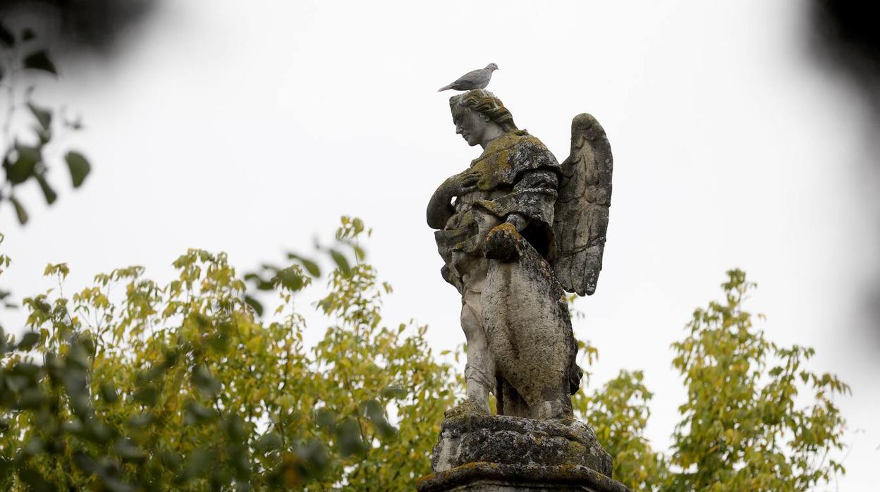 Los triunfos de San Rafael de Córdoba, en imágenes