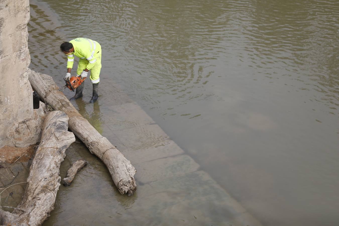 Operarios limpian de maleza y troncos el río Guadalquivir en Córdoba, en imágenes