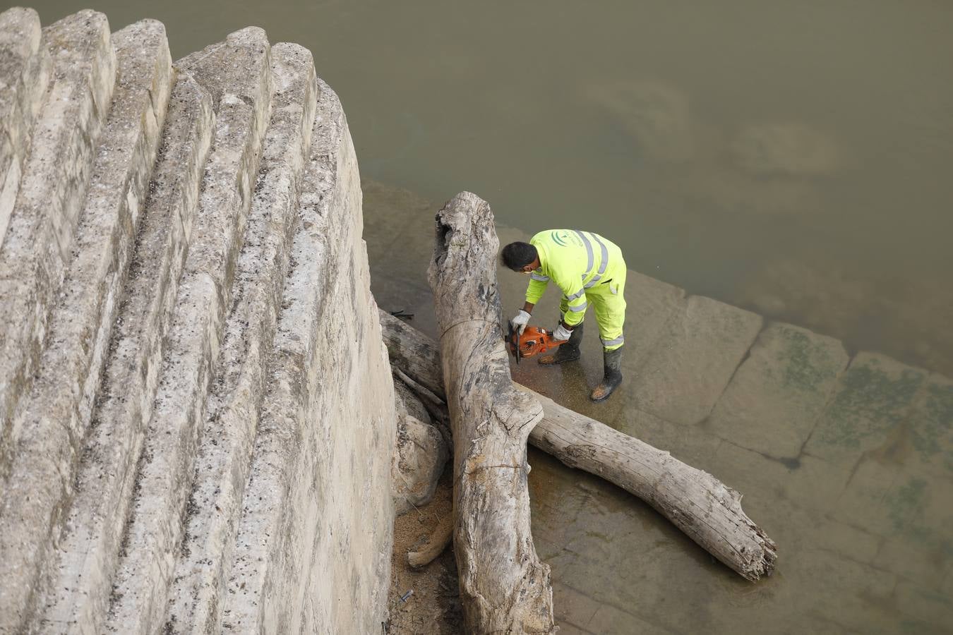 Operarios limpian de maleza y troncos el río Guadalquivir en Córdoba, en imágenes