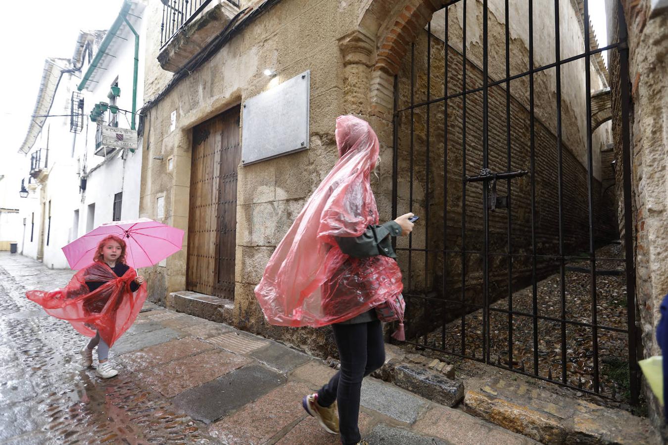 La situación de los museos privados de Córdoba, en imágenes