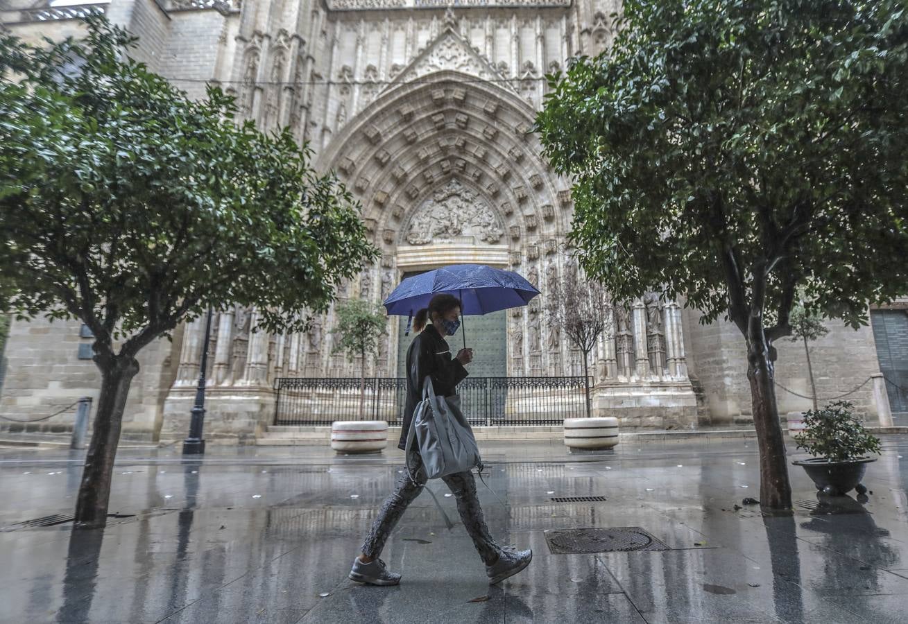 En imágenes, jueves lluvioso en Sevilla