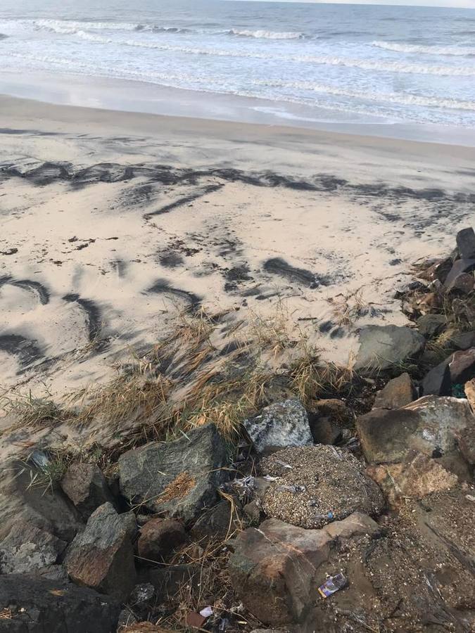 En imágenes, restos fecales en el paseo y playa de Matalascañas