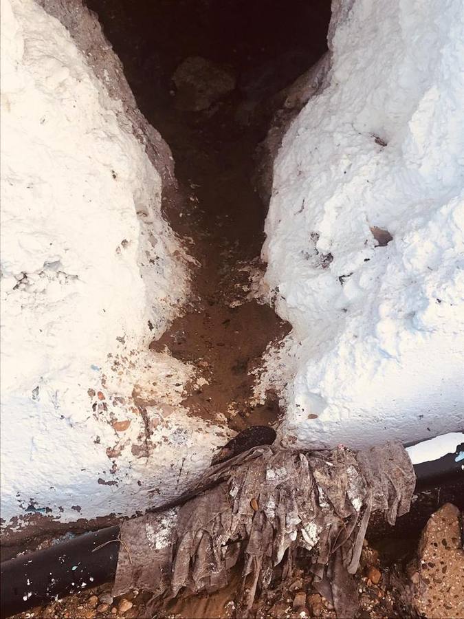 En imágenes, restos fecales en el paseo y playa de Matalascañas