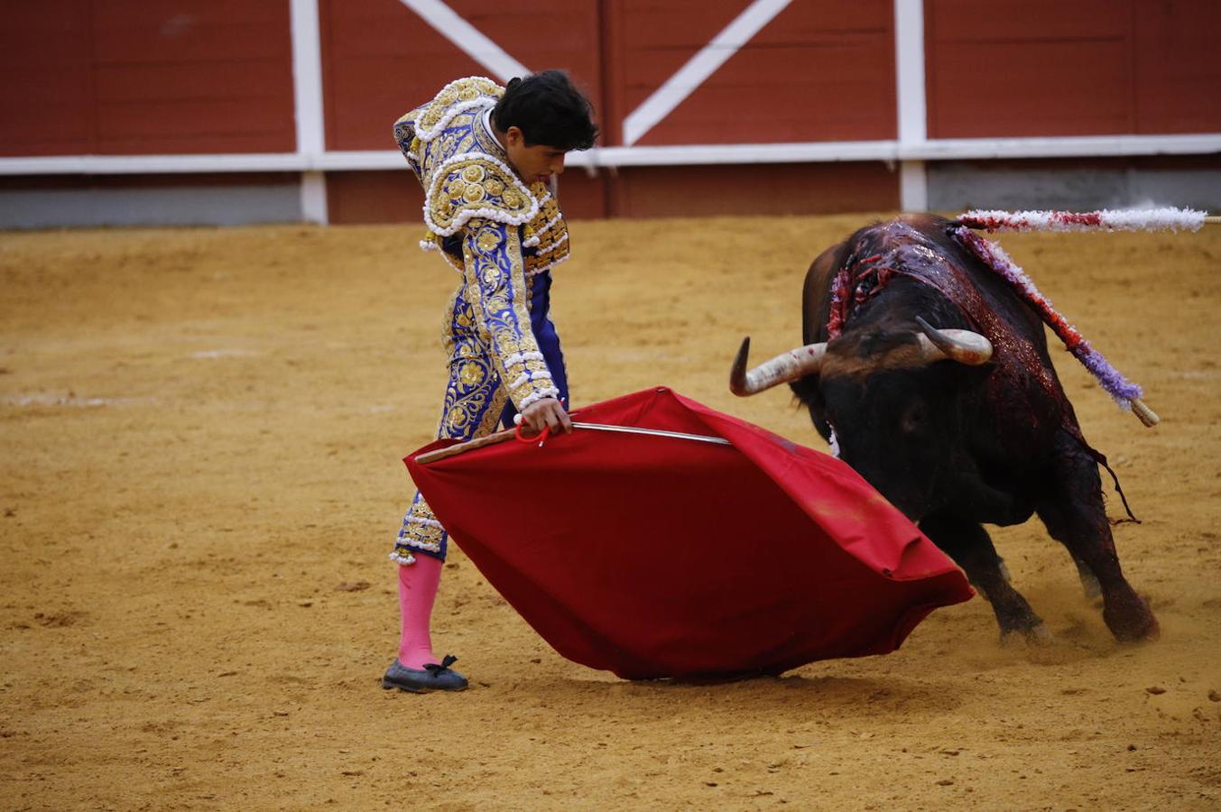 La corrida de Toros de Montoro, en imágenes