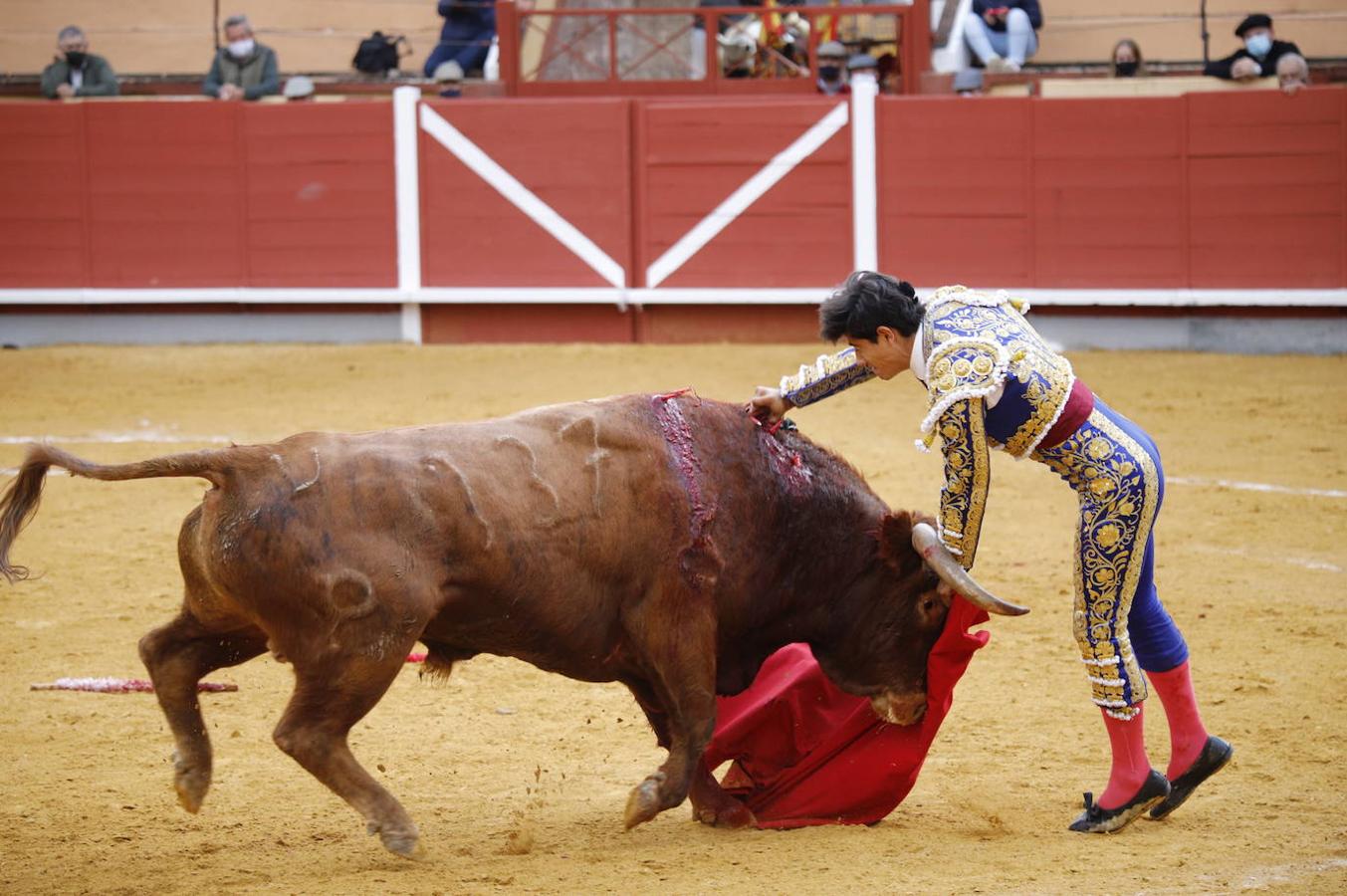 La corrida de Toros de Montoro, en imágenes