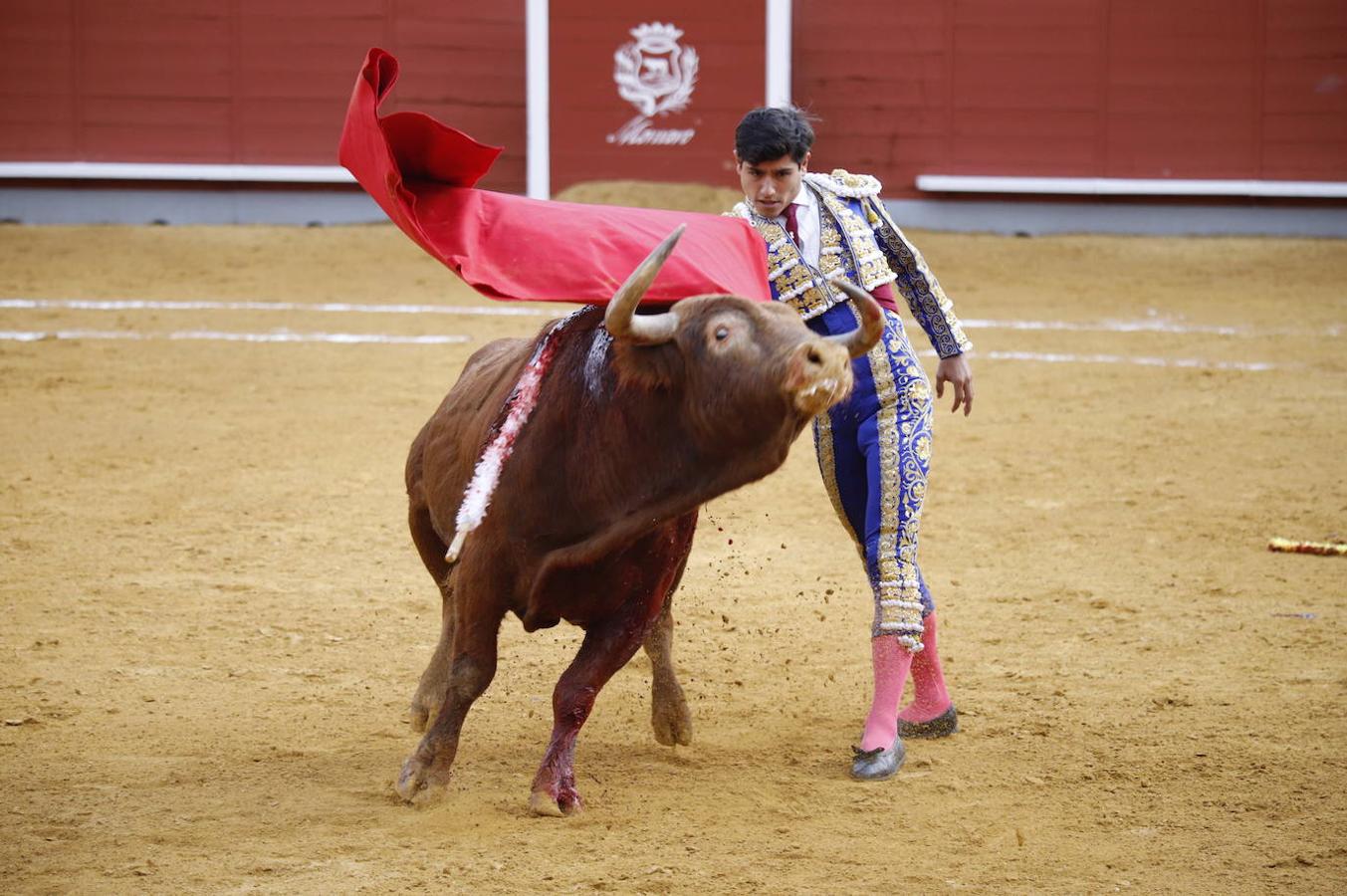 La corrida de Toros de Montoro, en imágenes