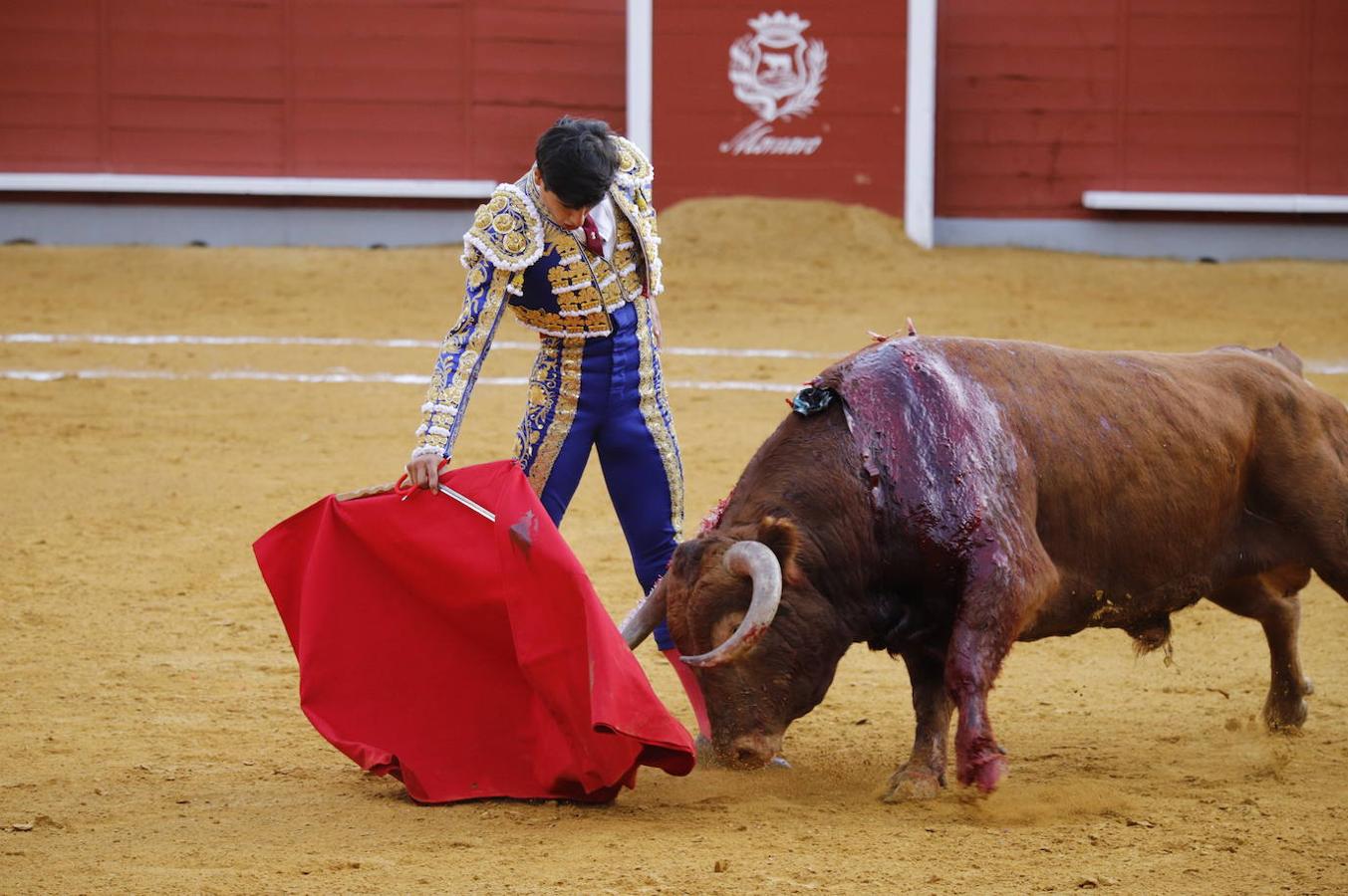 La corrida de Toros de Montoro, en imágenes