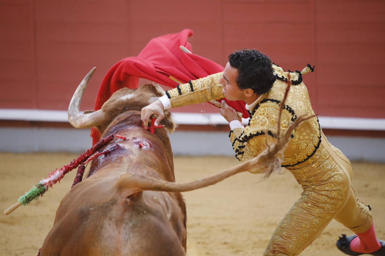 La corrida de Toros de Montoro, en imágenes