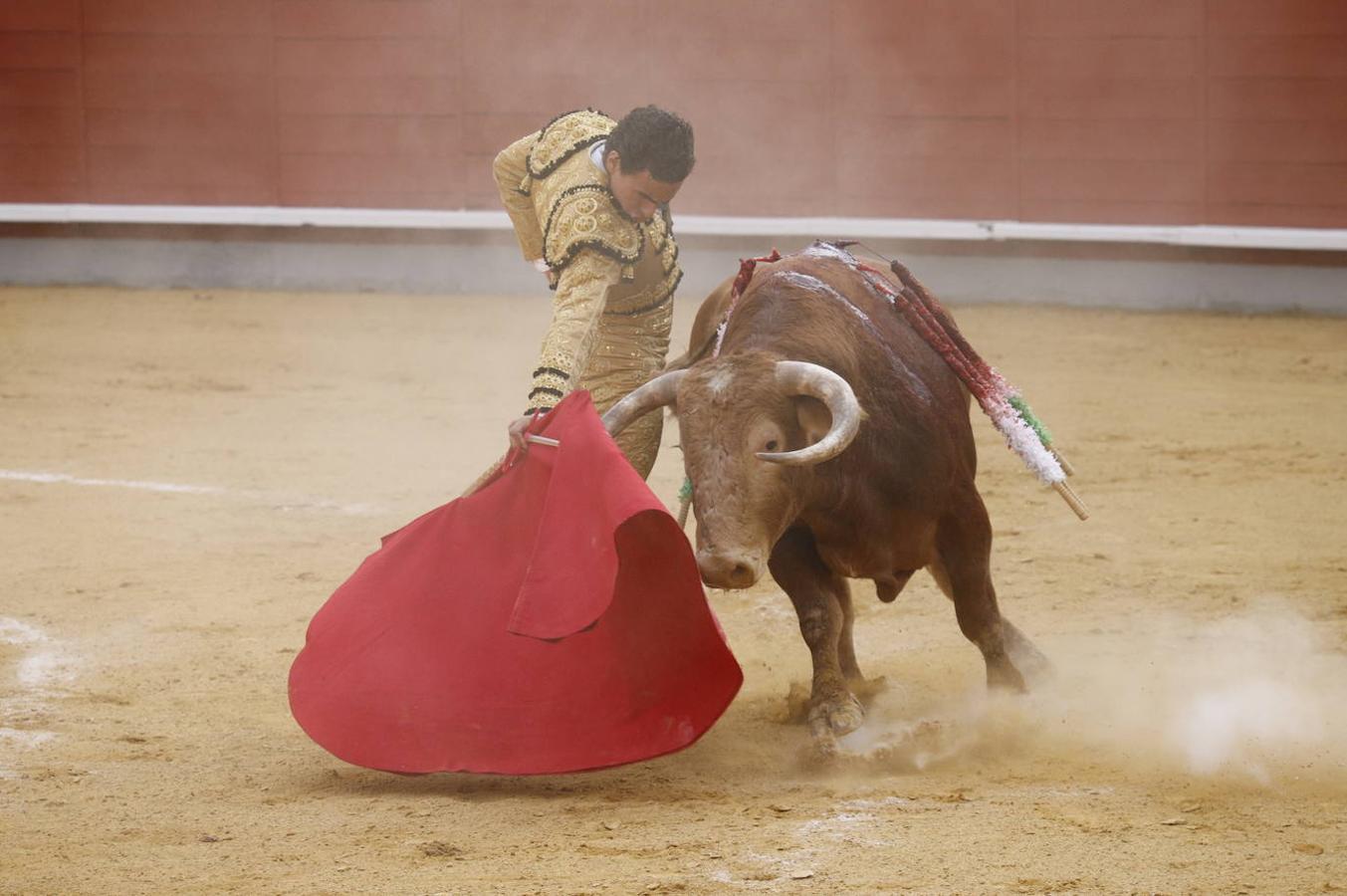 La corrida de Toros de Montoro, en imágenes