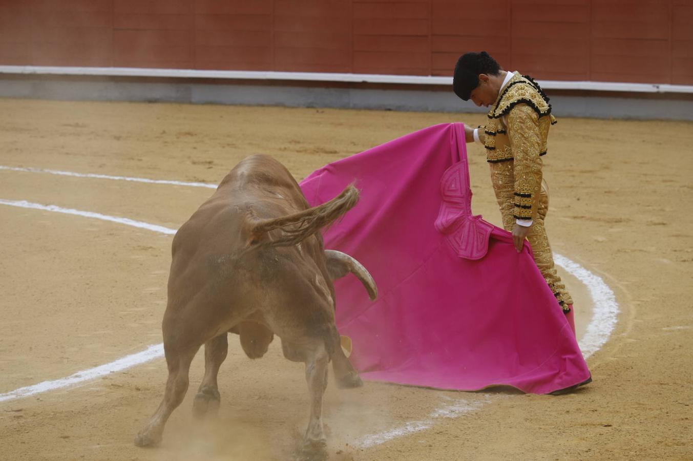 La corrida de Toros de Montoro, en imágenes