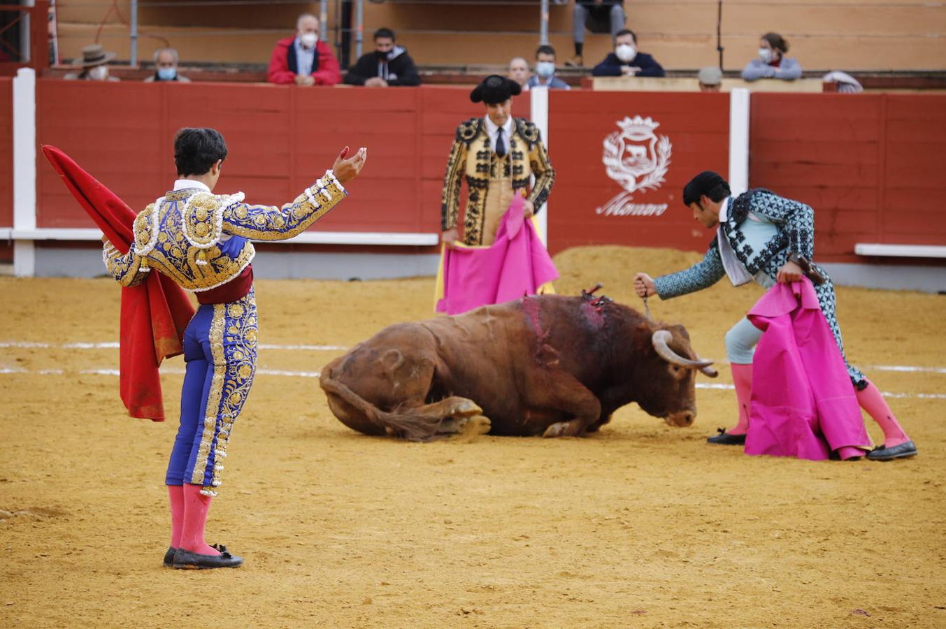 La corrida de Toros de Montoro, en imágenes